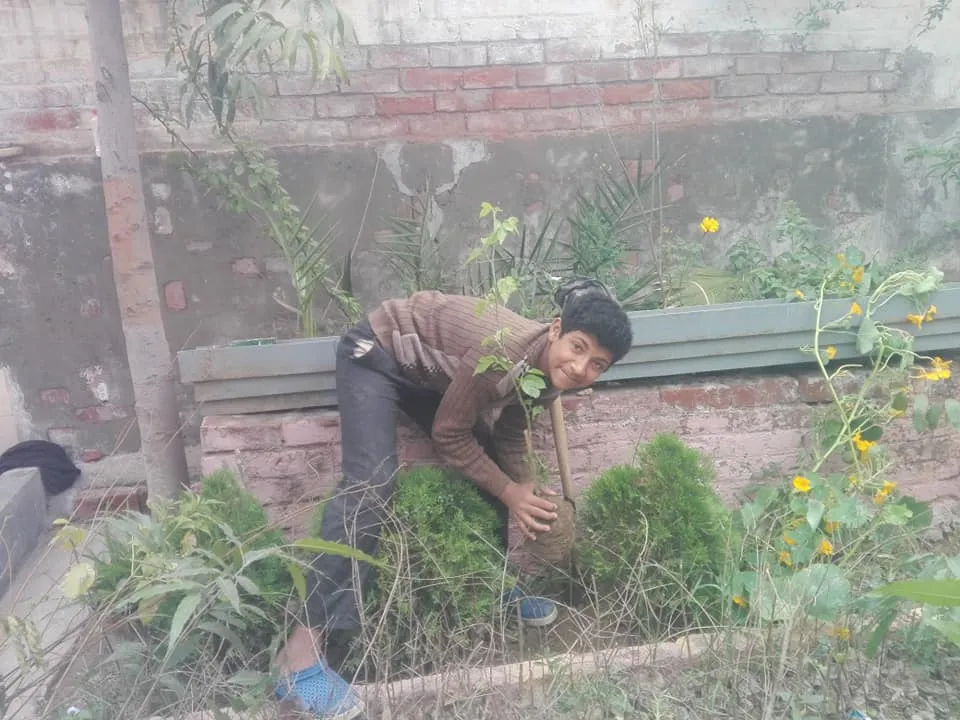 Green Seekers Activity